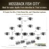Mossback Fish City 2026