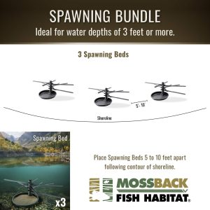 spawning bundle TM logo