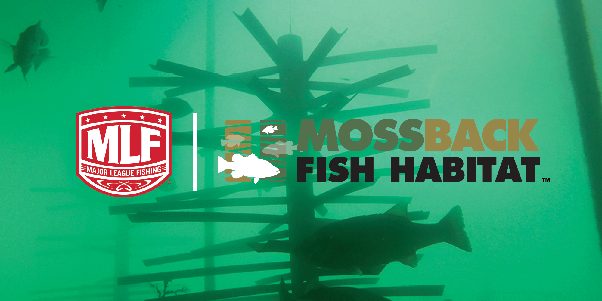 mlf-mossback Mossback + Major League Fishing