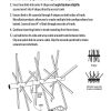 Trophy Tree XL Laydown instructions