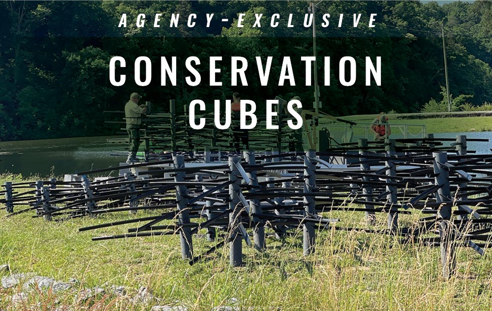 Conservation Cubes graphic