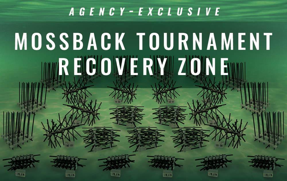 Recovery Zone graphic