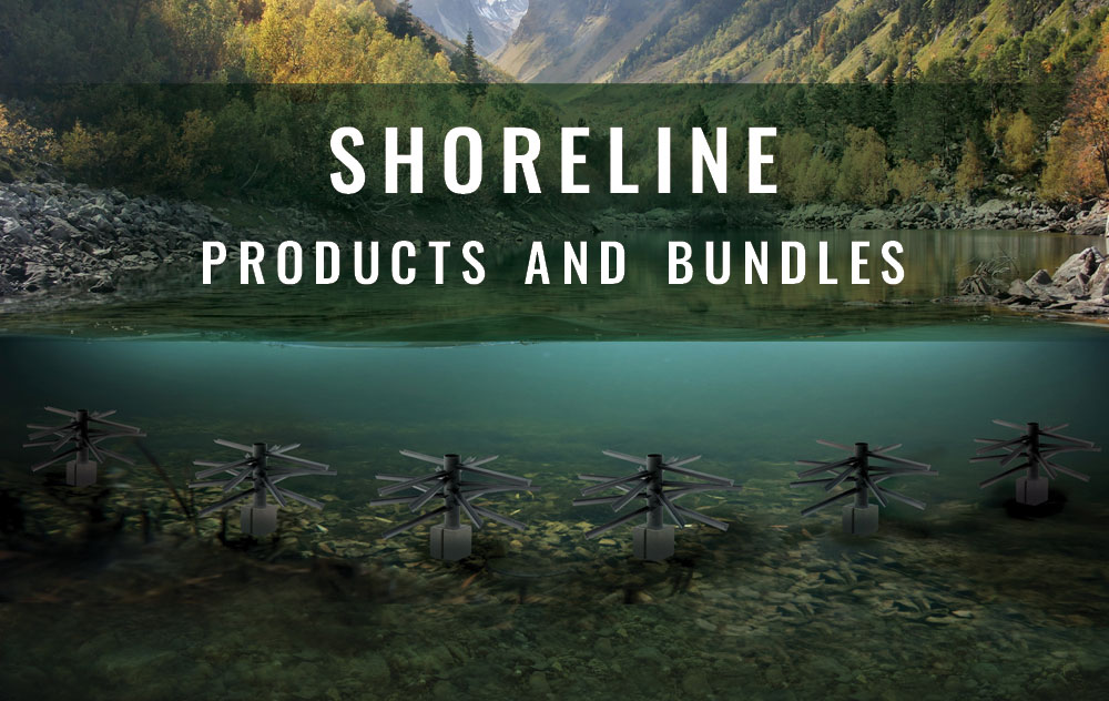 Shoreline graphic