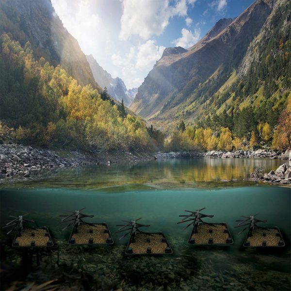 Spawning Bed XL Essential Bundle lake web