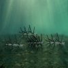 Essential Laydown Log Bundle